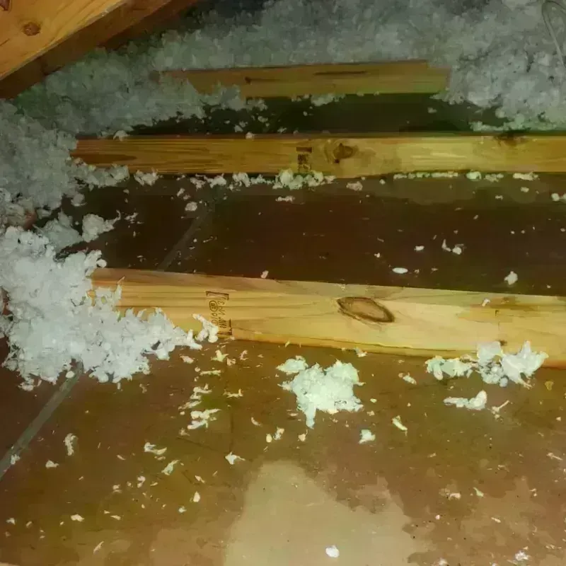 Attic Water Damage in Grand Ledge, MI