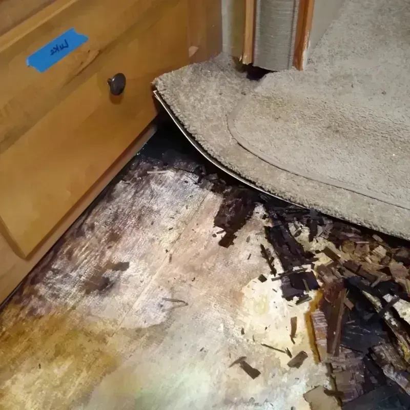 Best Wood Floor Water Damage Service in Grand Ledge, MI